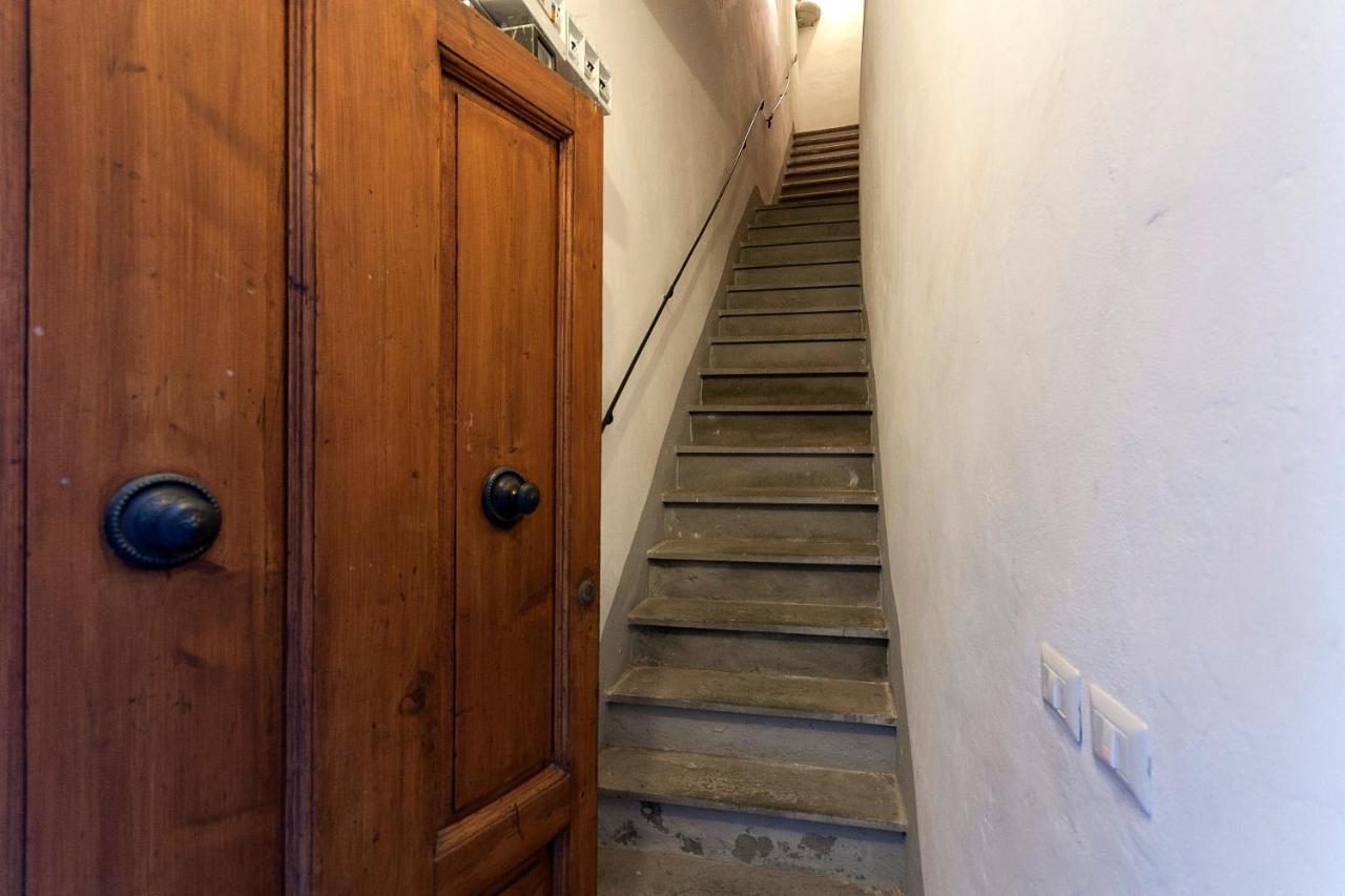 Mamo - Santa Croce